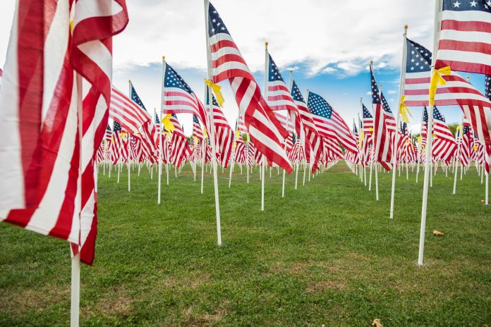 Field of Veterans Day American Flags Waving in the Breeze.