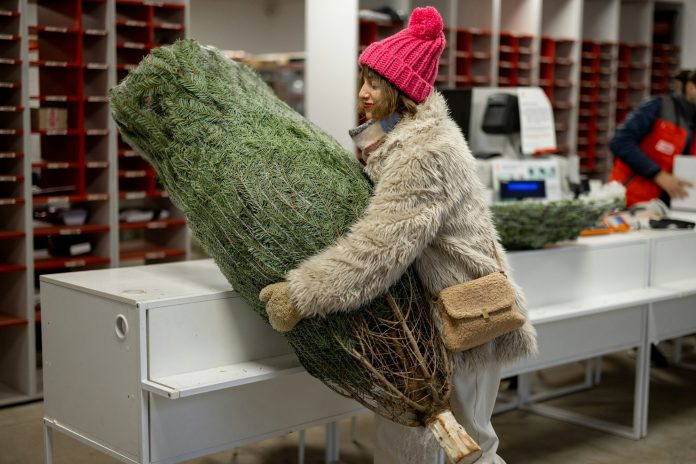 Happy woman picks up Christmas tree at post office