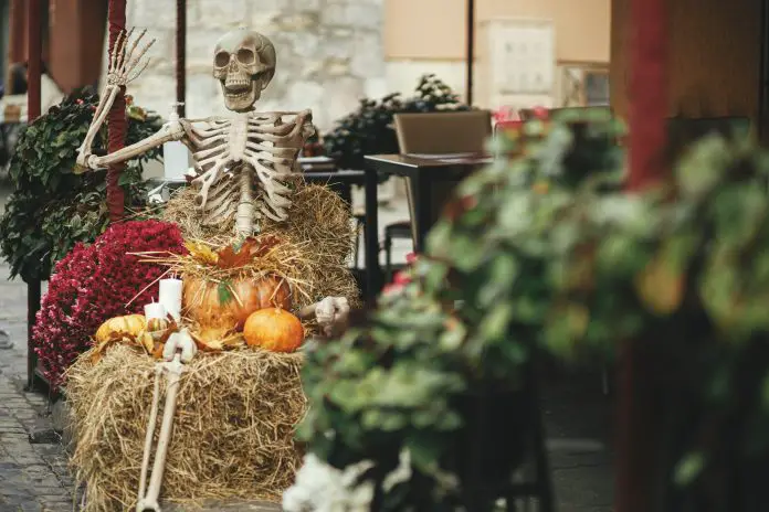 Scary skeleton, pumpkins, flowers, haystacks in city street. Spooky Halloween decor. Happy halloween