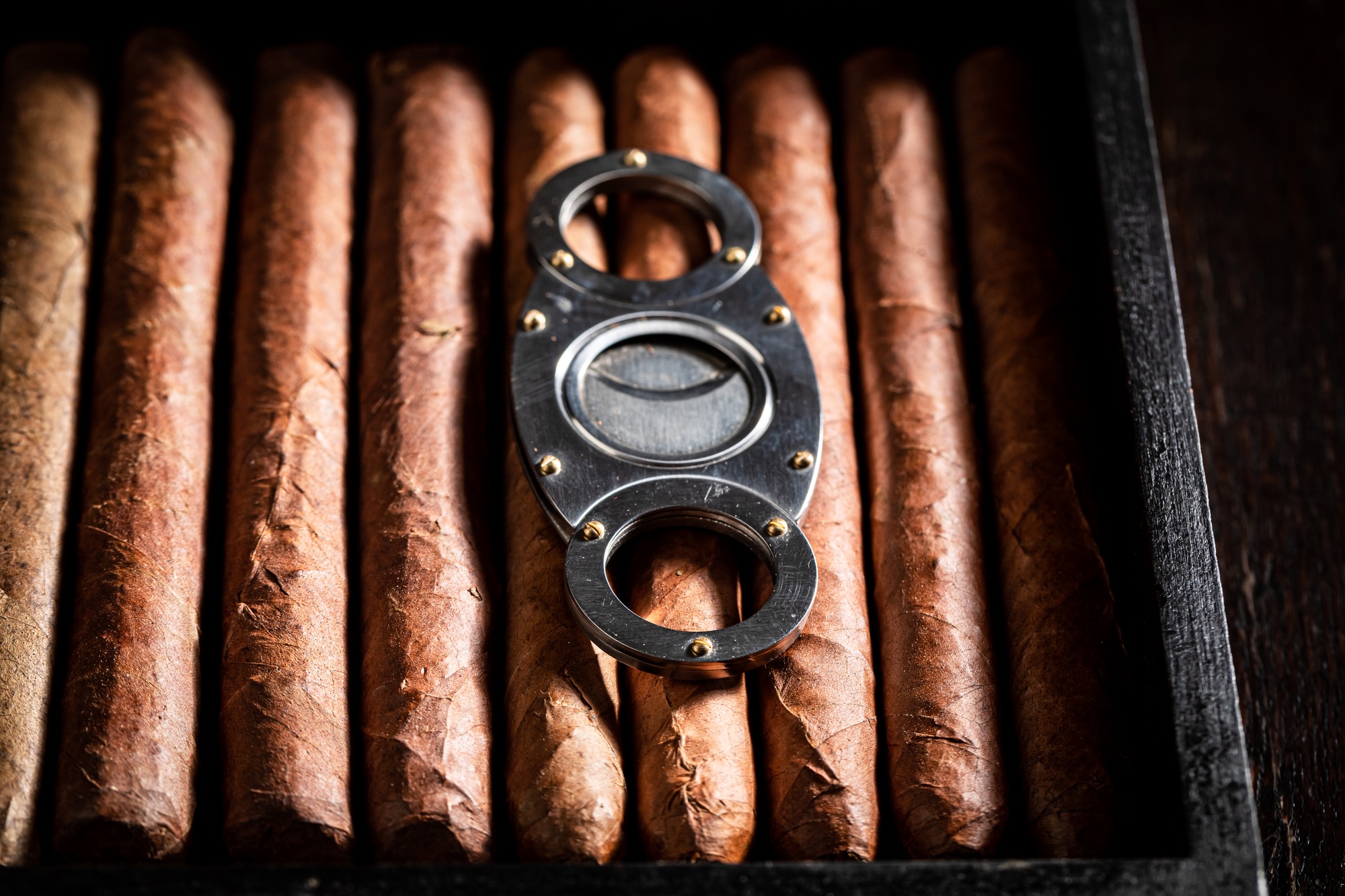 Closeup of cigars with guillotine cuts off cigar tip