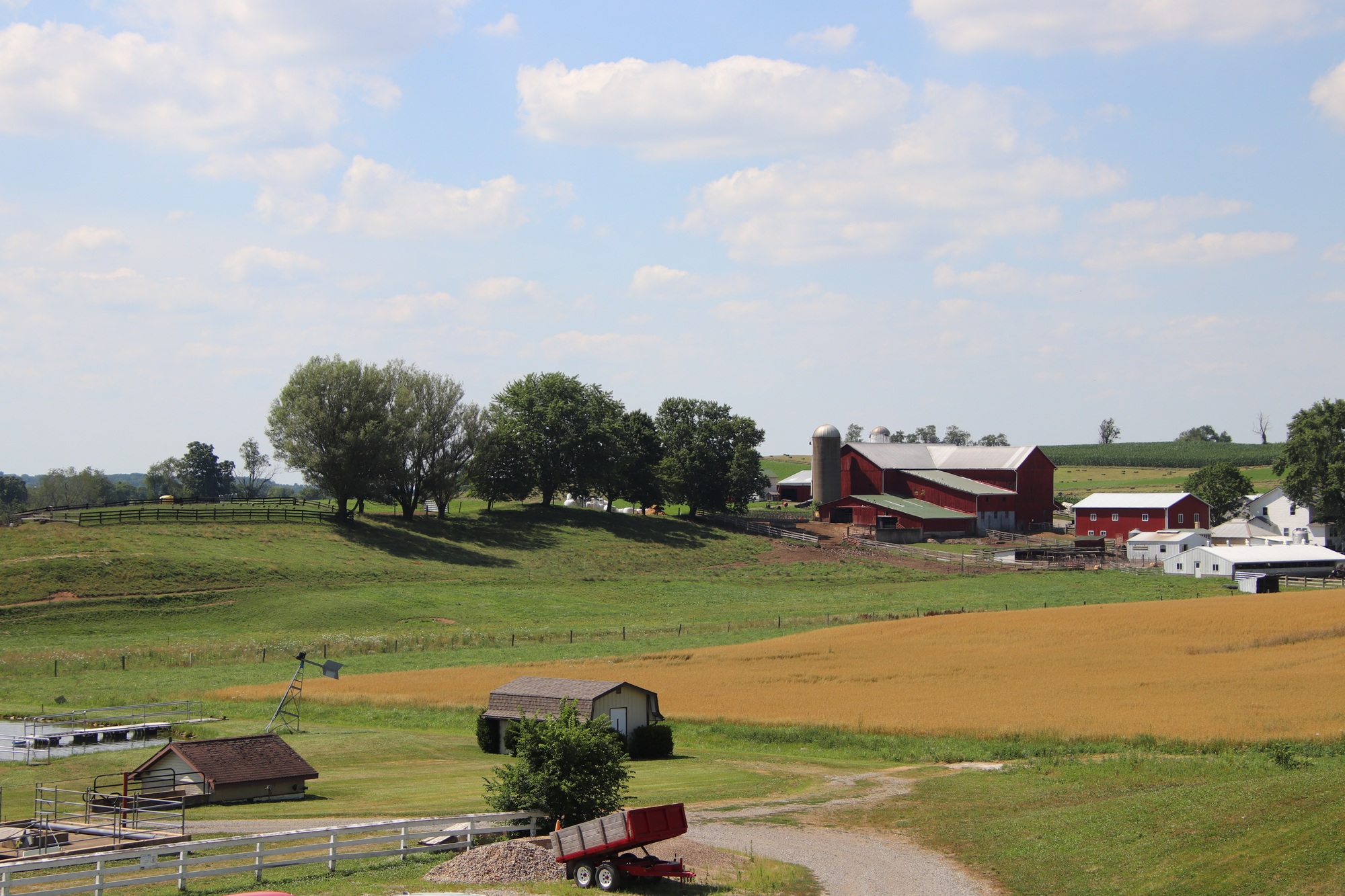 Life on a farm