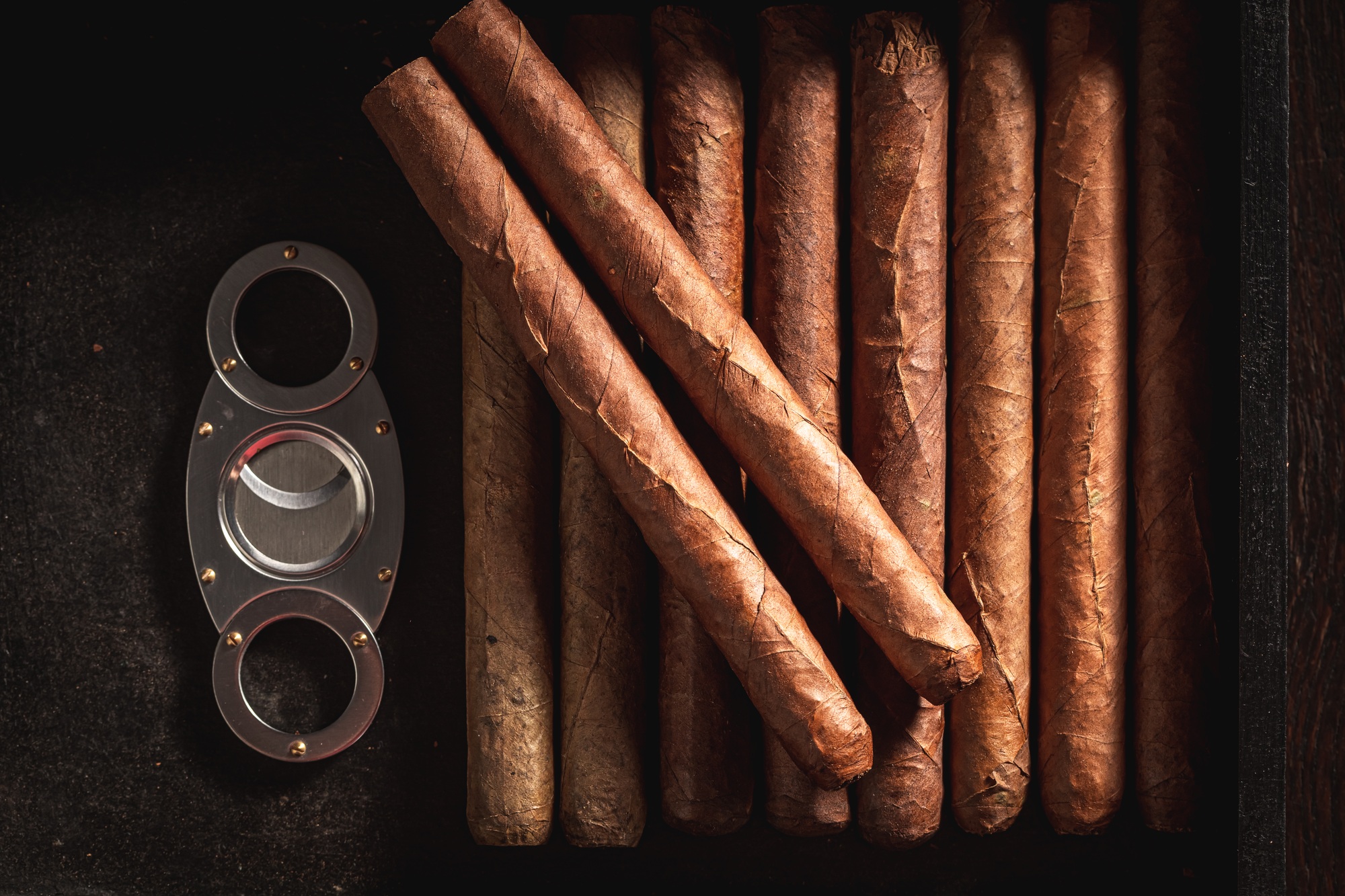 Top view of cigars with metal cutter in humidor