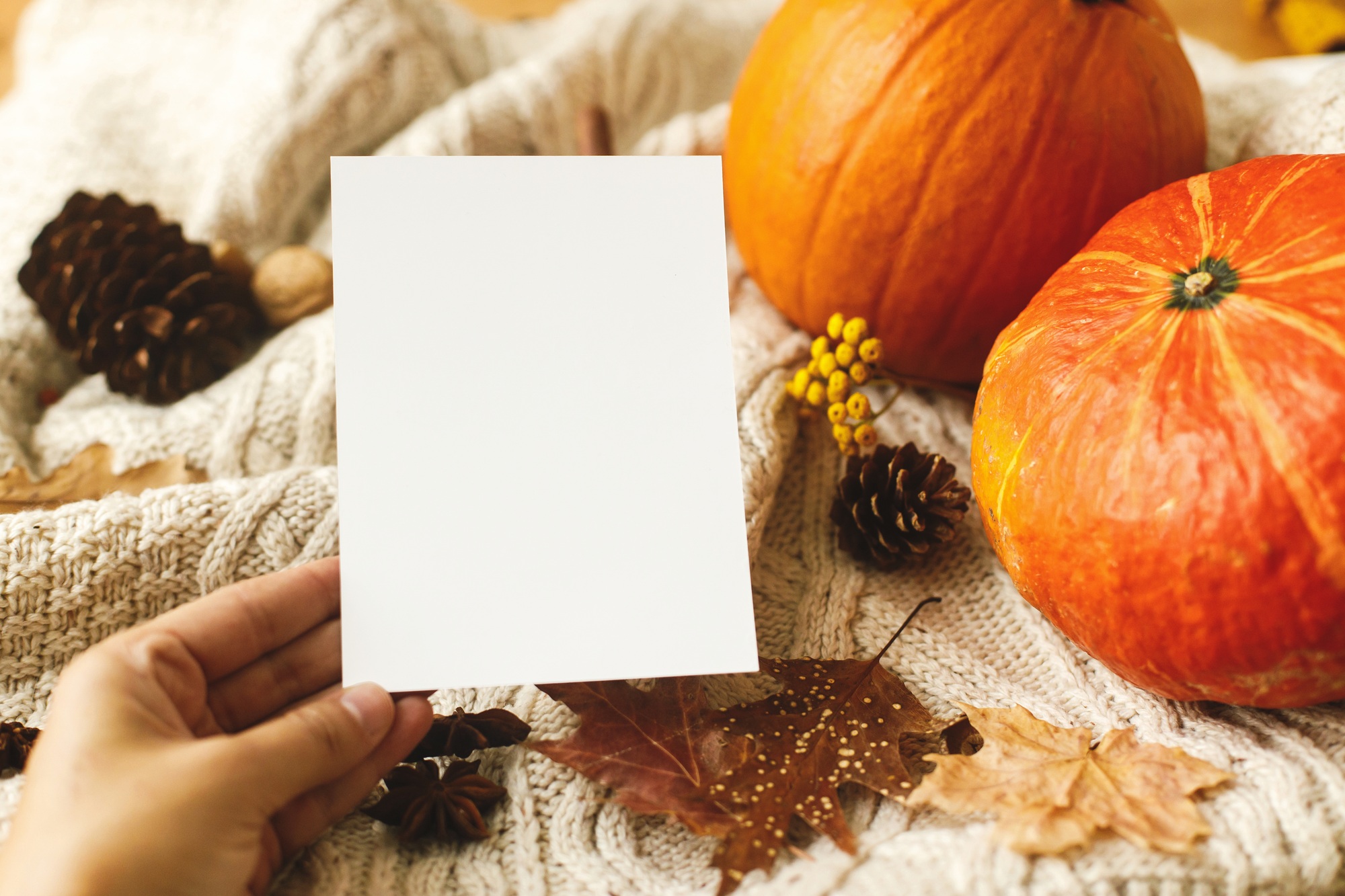 Happy Thanksgiving greeting card template