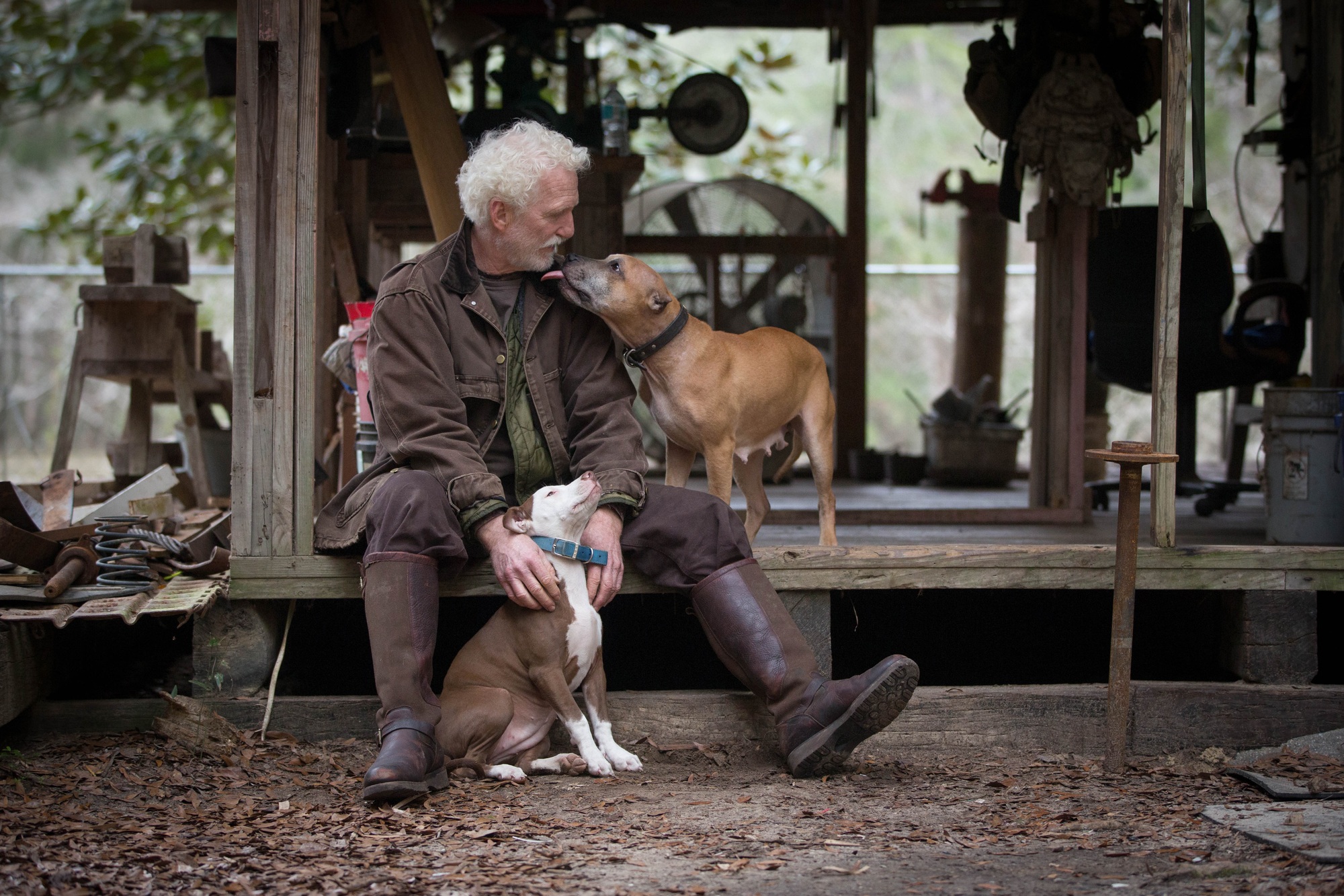 Man with pet dogs by wooden work hut