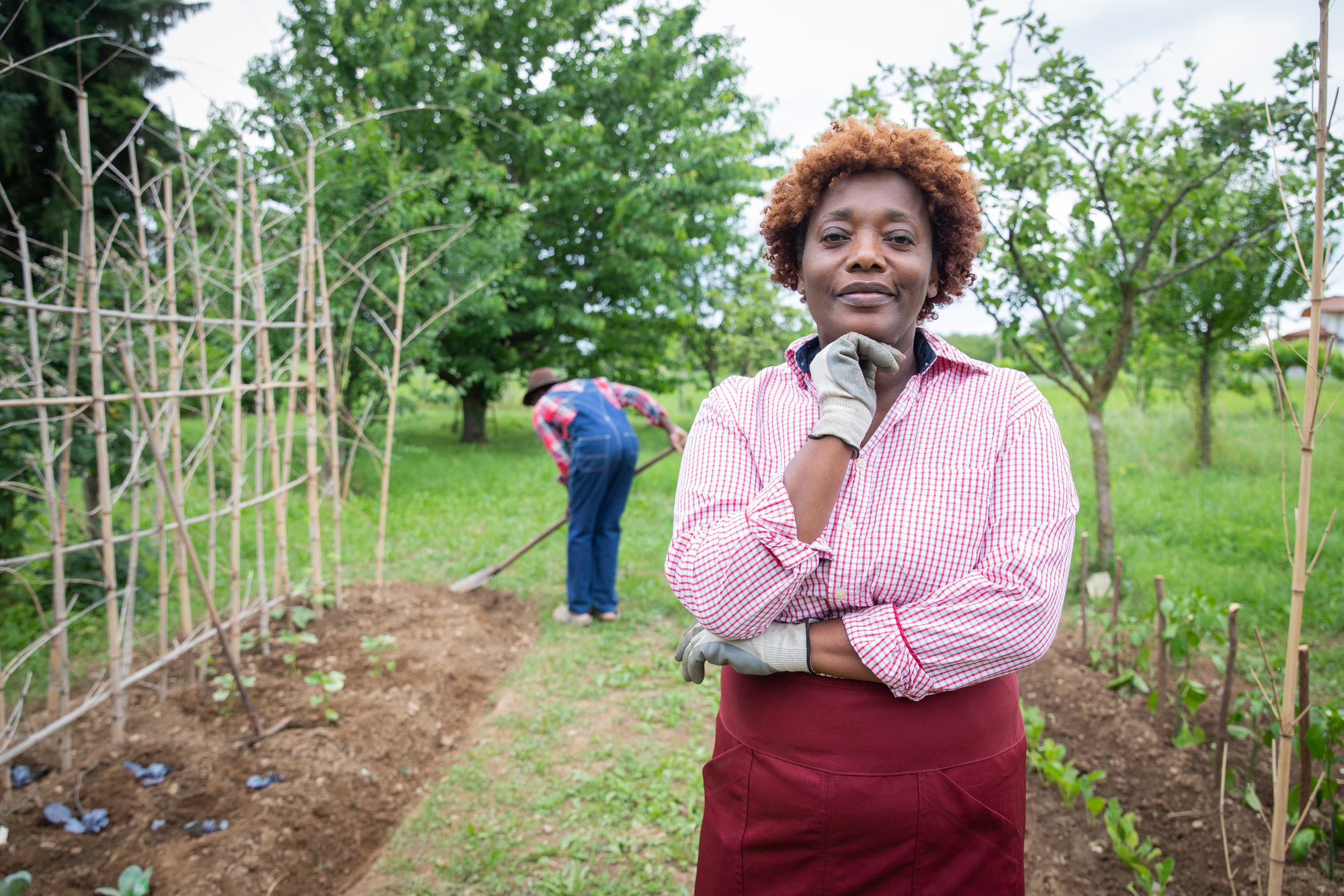 Peasant woman in her cultivated field, her husband digs the earth, small business entrepreneur