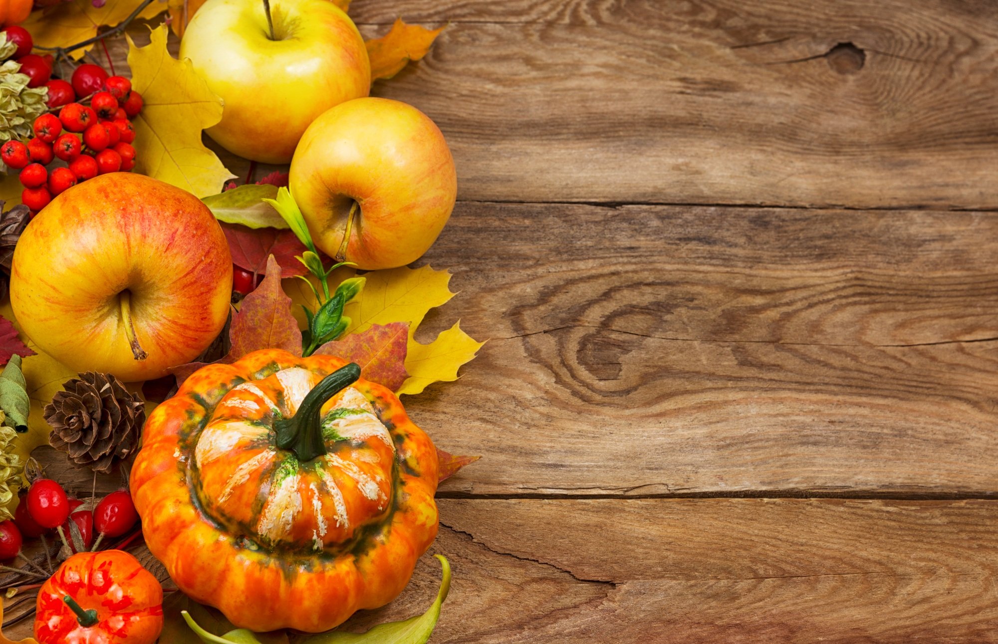 Thanksgiving card with fall leaves and pumpkin, copy space