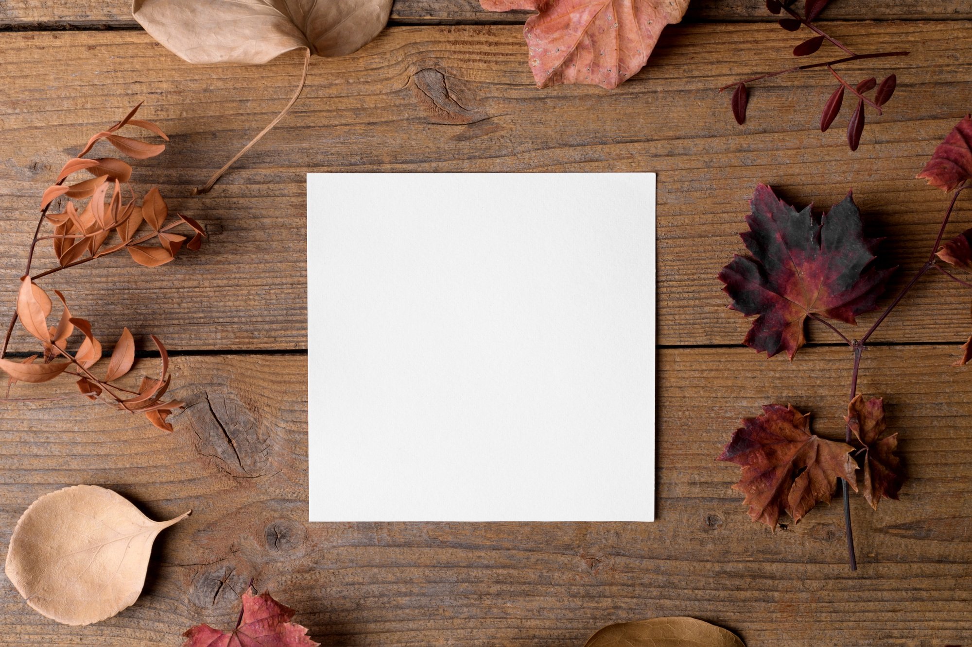Thanksgiving mockup greeting card, DIY invitation, square card mockup