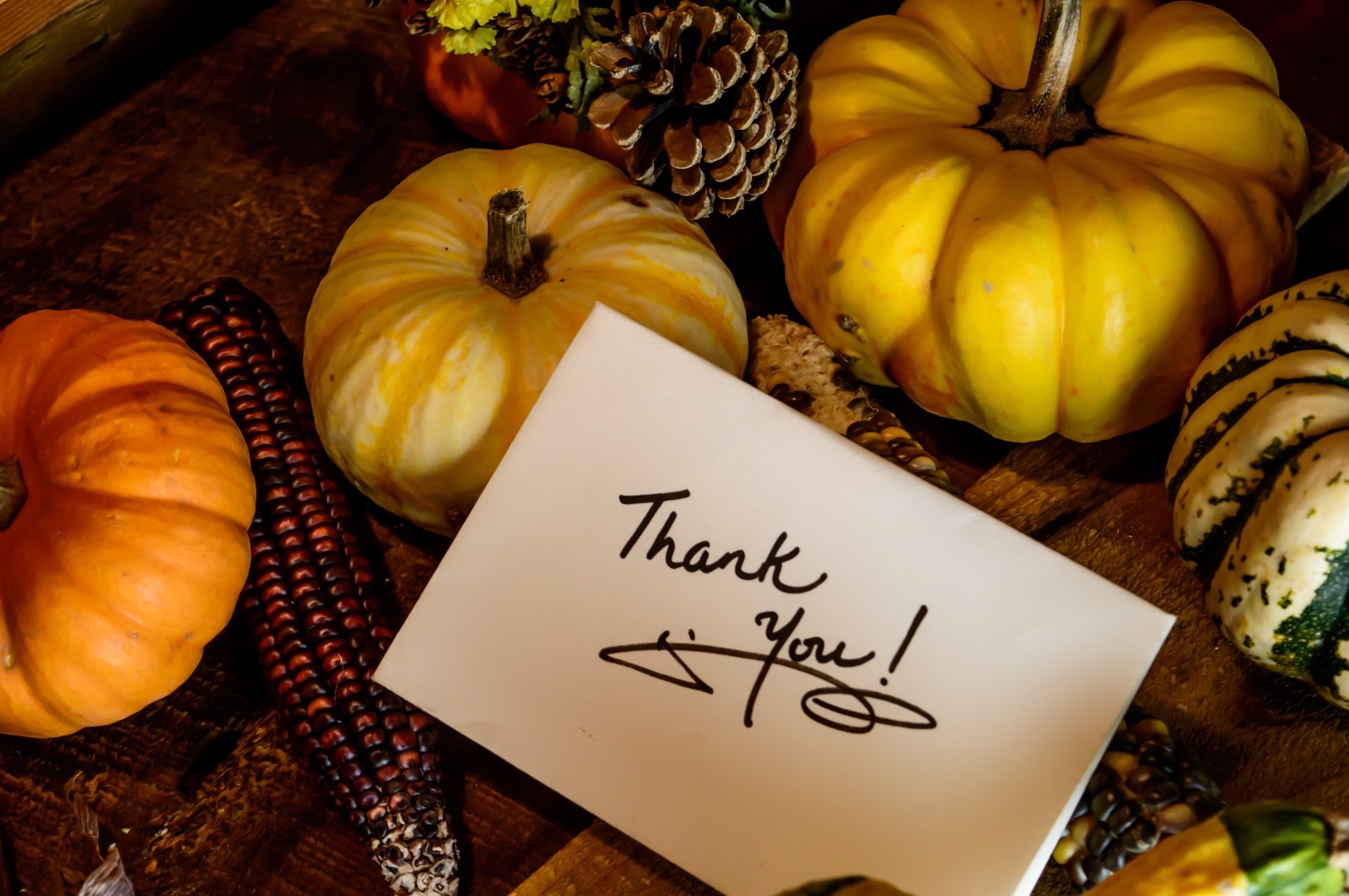 Thanksgiving thank you card handwritten note with traditional pumpkins and autumn background