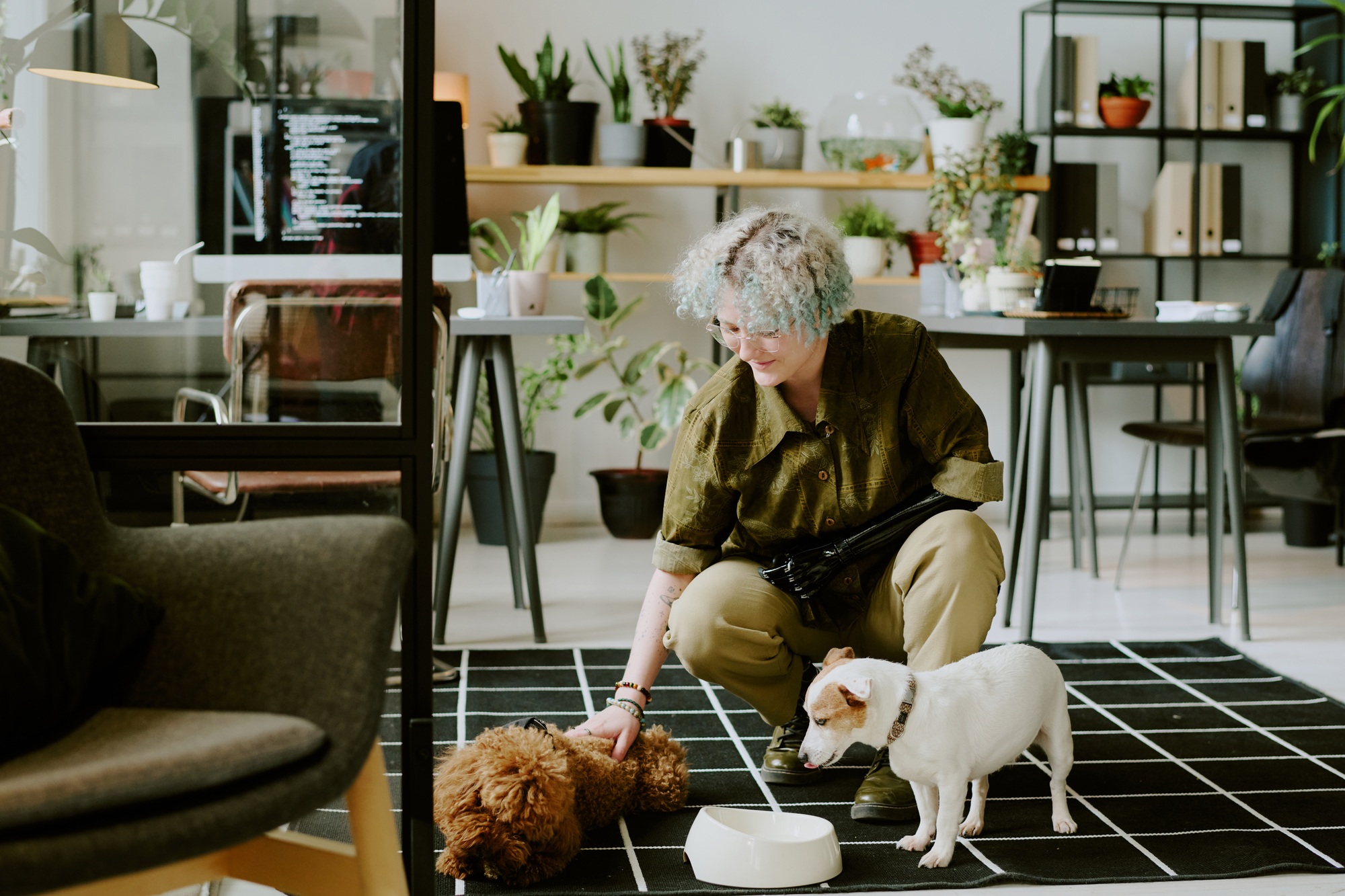 Woman Taking Care Of Dog In Modern Office