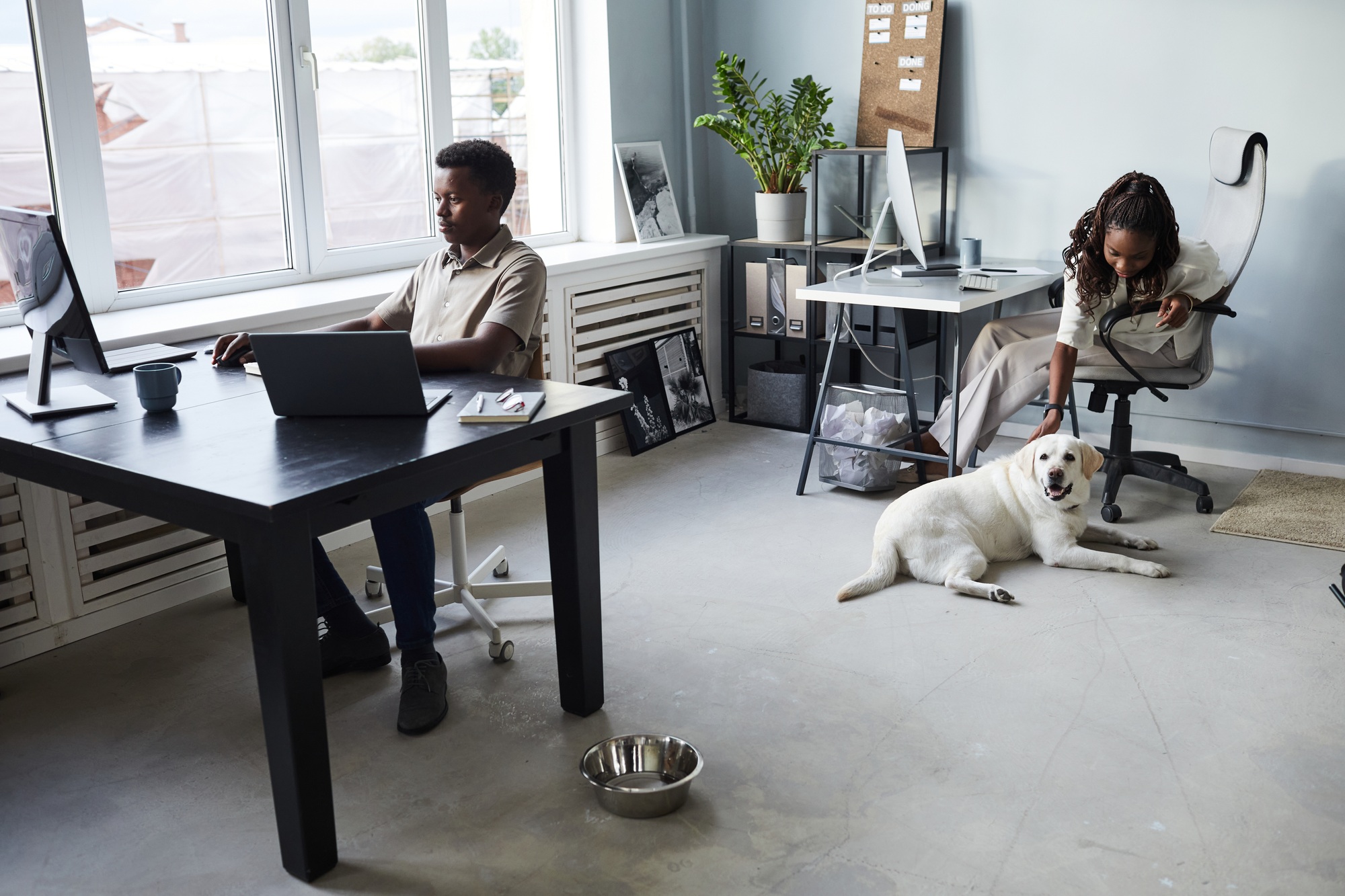 Young Woman Petting Dog in Office