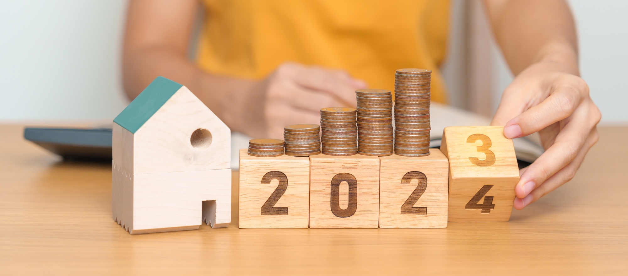 2023 flipping to 2024 year block with house model