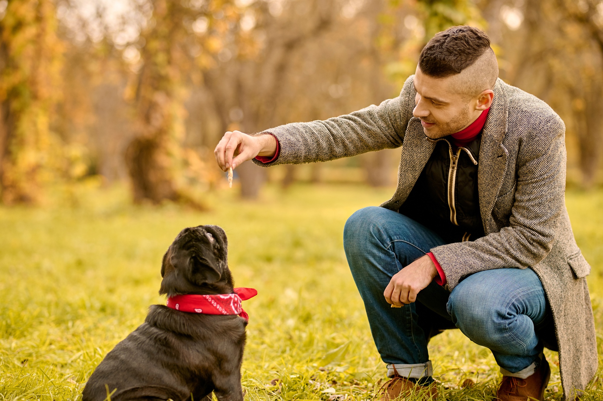 A man training his dog in the park