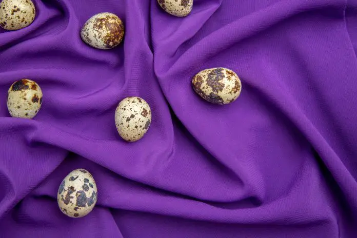 Above view of fresh organic poultry farm eggs on violet towel