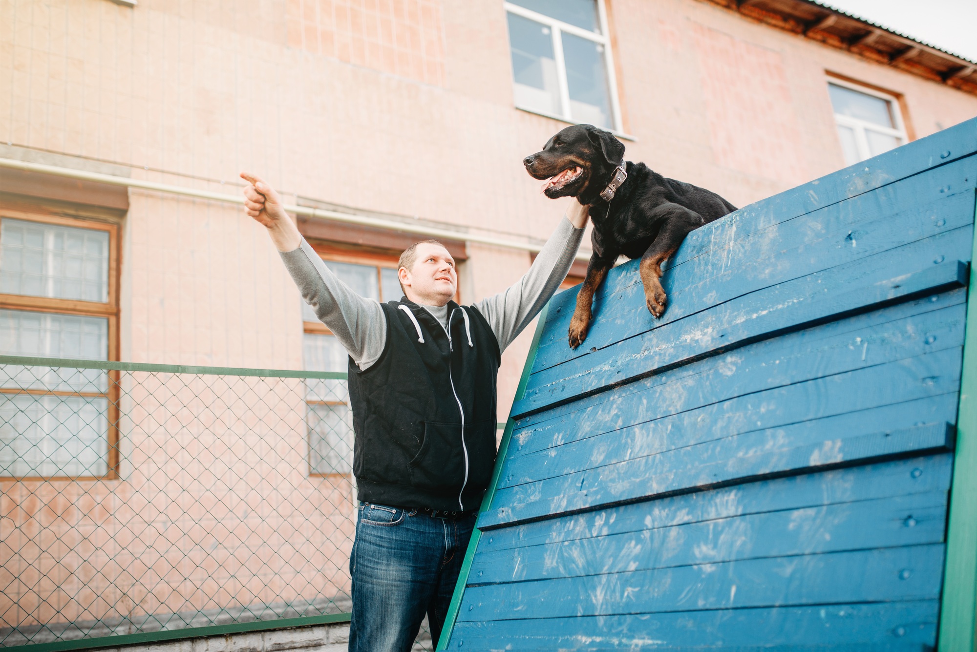 Cynologist training working dog on playground