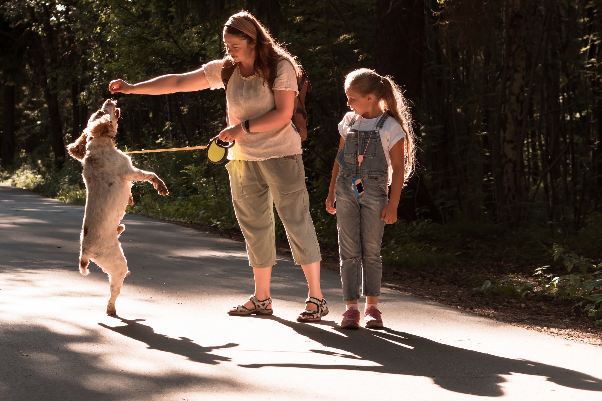 dog training