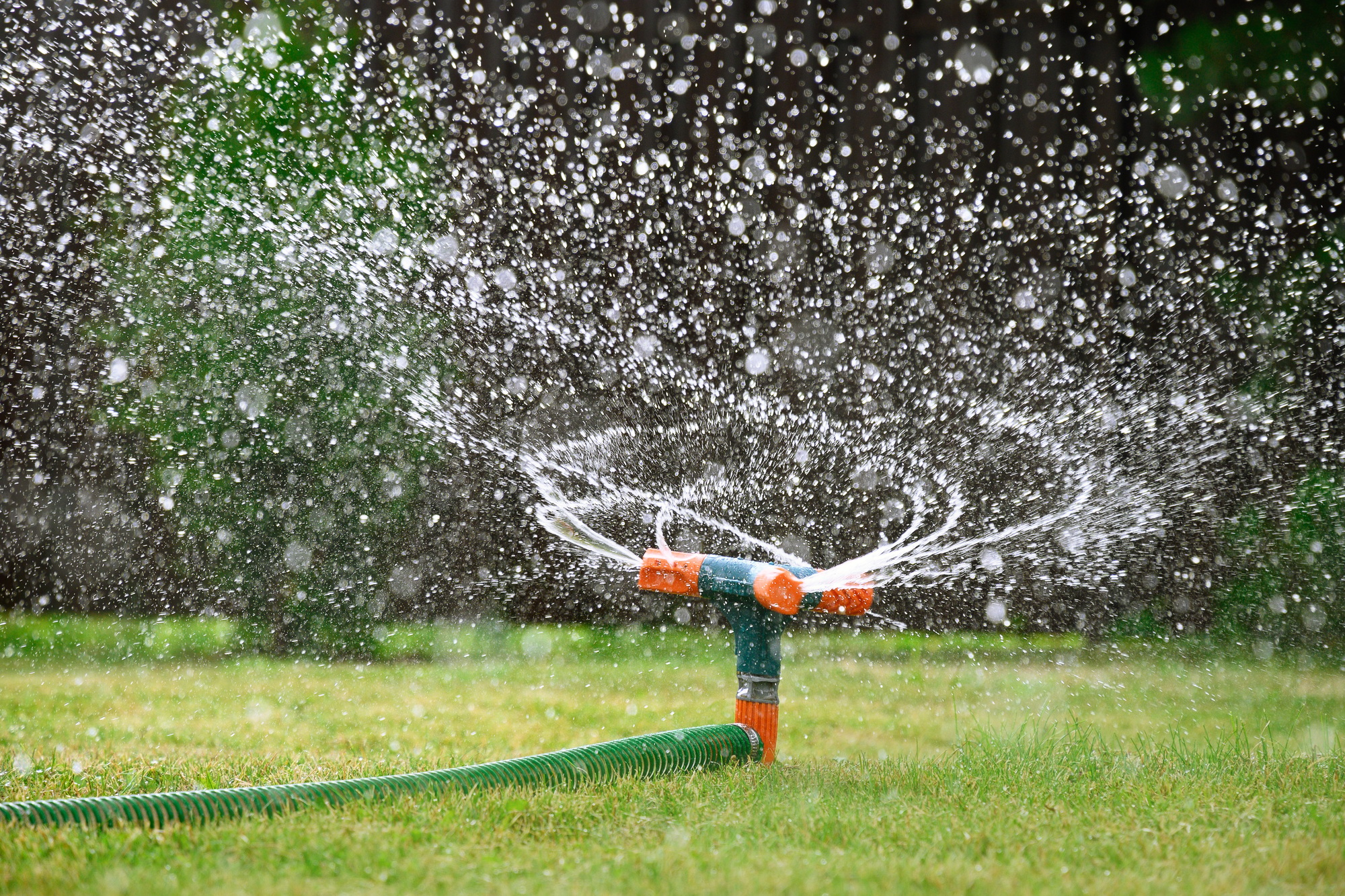 Green lawn automatic irrigation system in park. Watering lawn at heat summer.