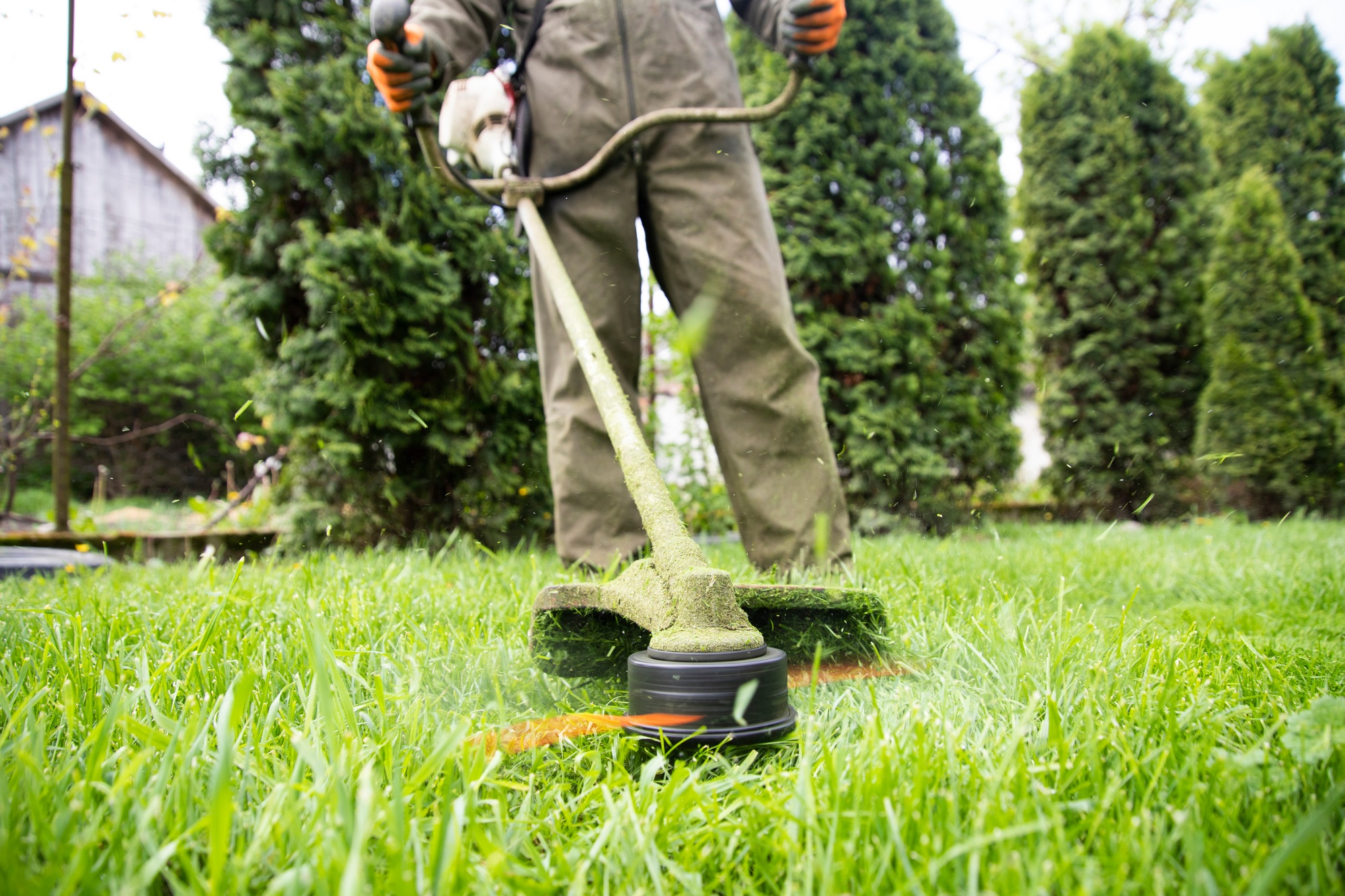 Lawn mover on green grass. Machine for cutting lawns.