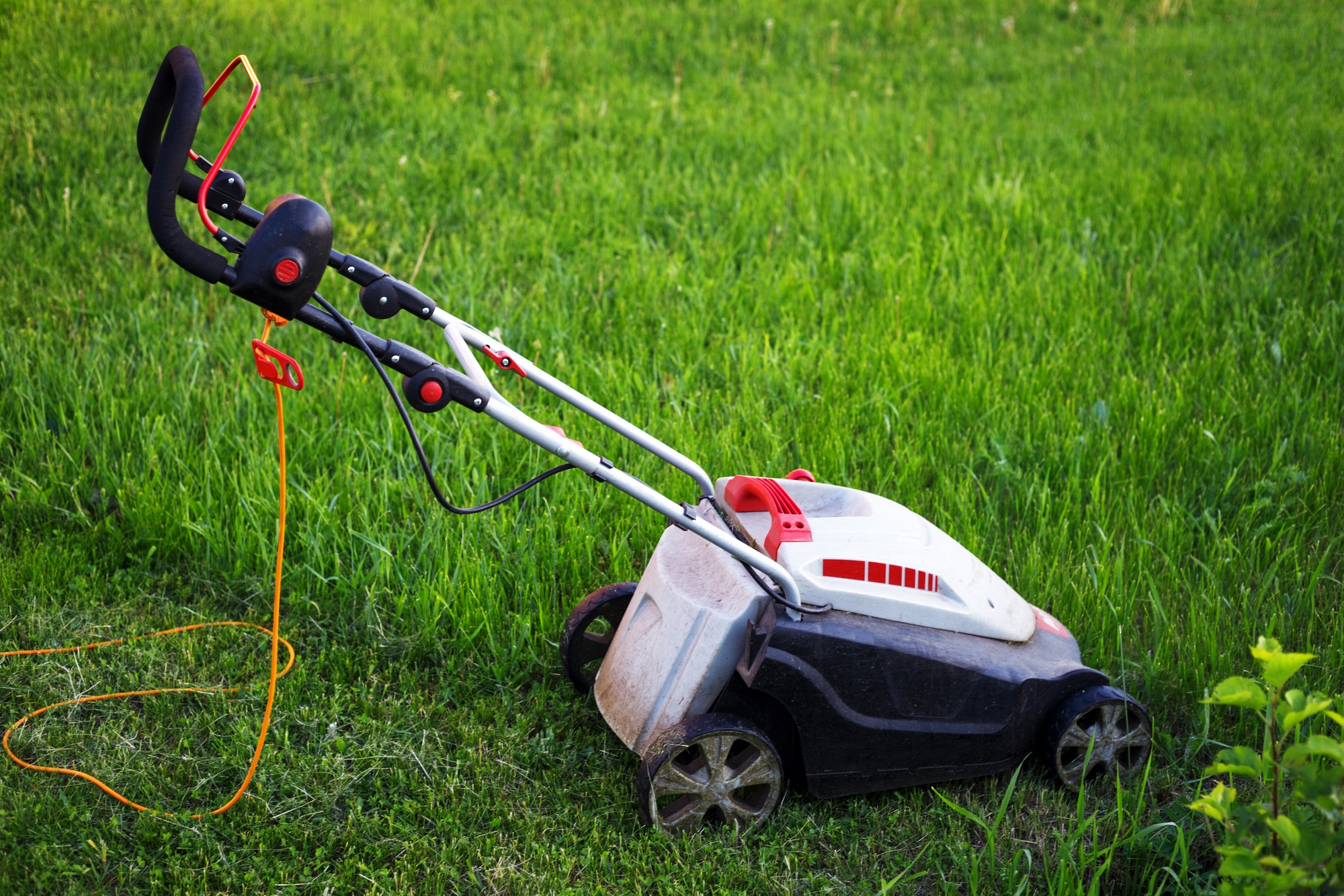 lawn mower on the lawn