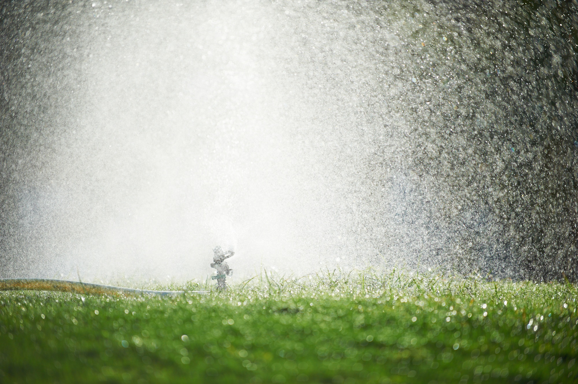 Lawn sprinkler spaying water