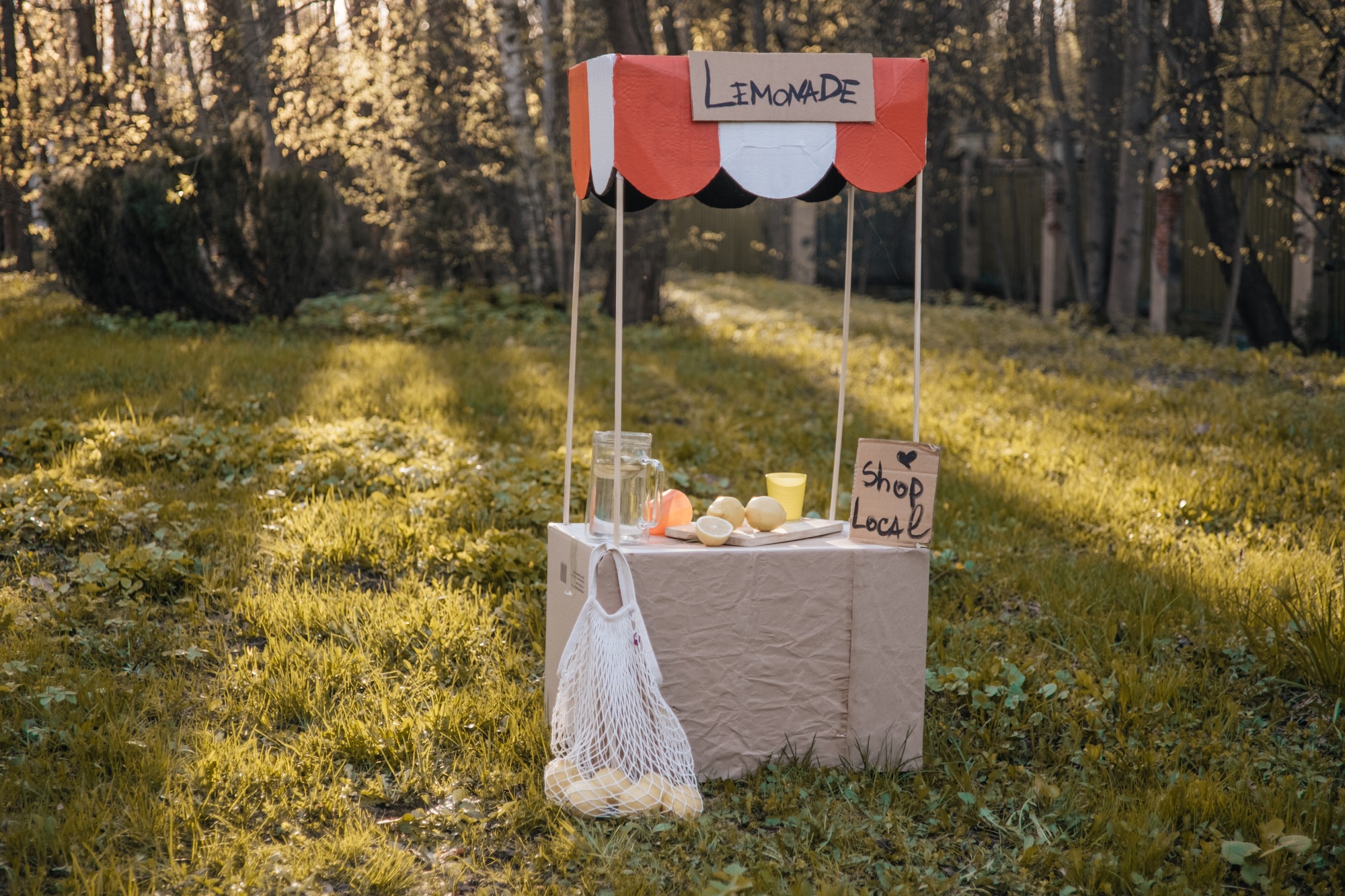 Lemonade kids stand for selling lemonade. Little business, summer vibes