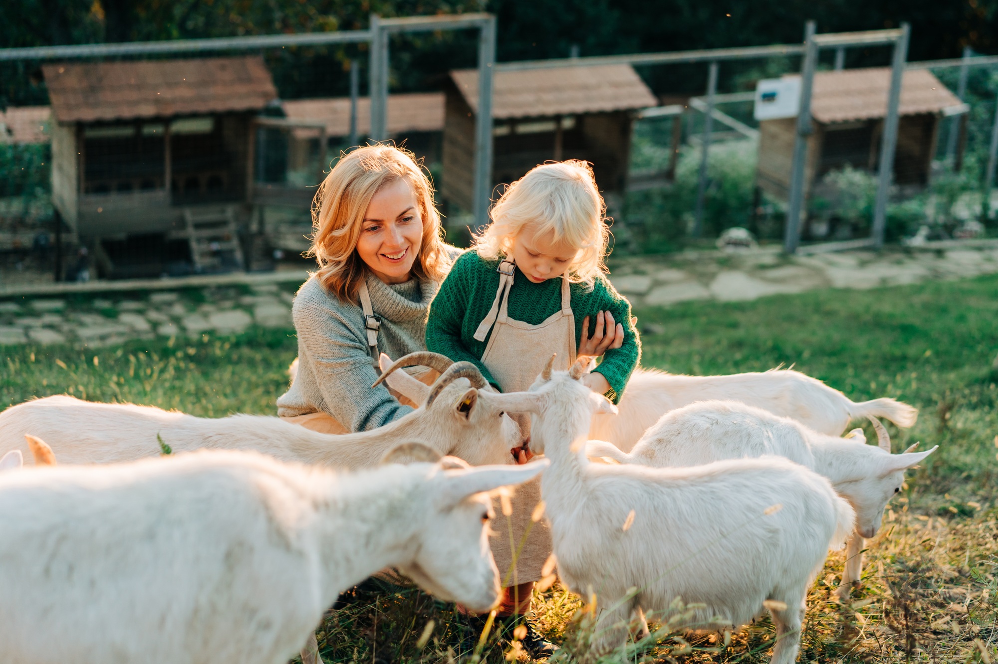 Mom and daughter at the farm feed the goats.