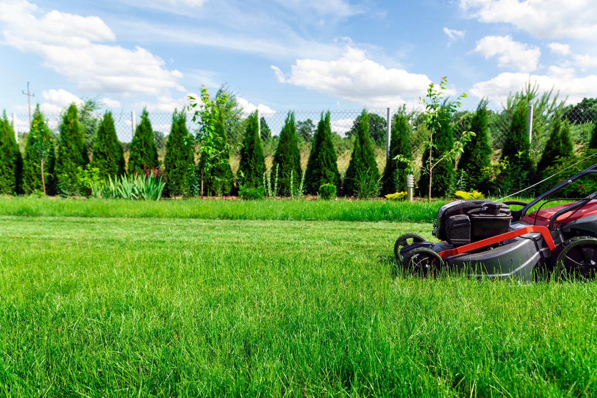 Mowing lawn in backyard