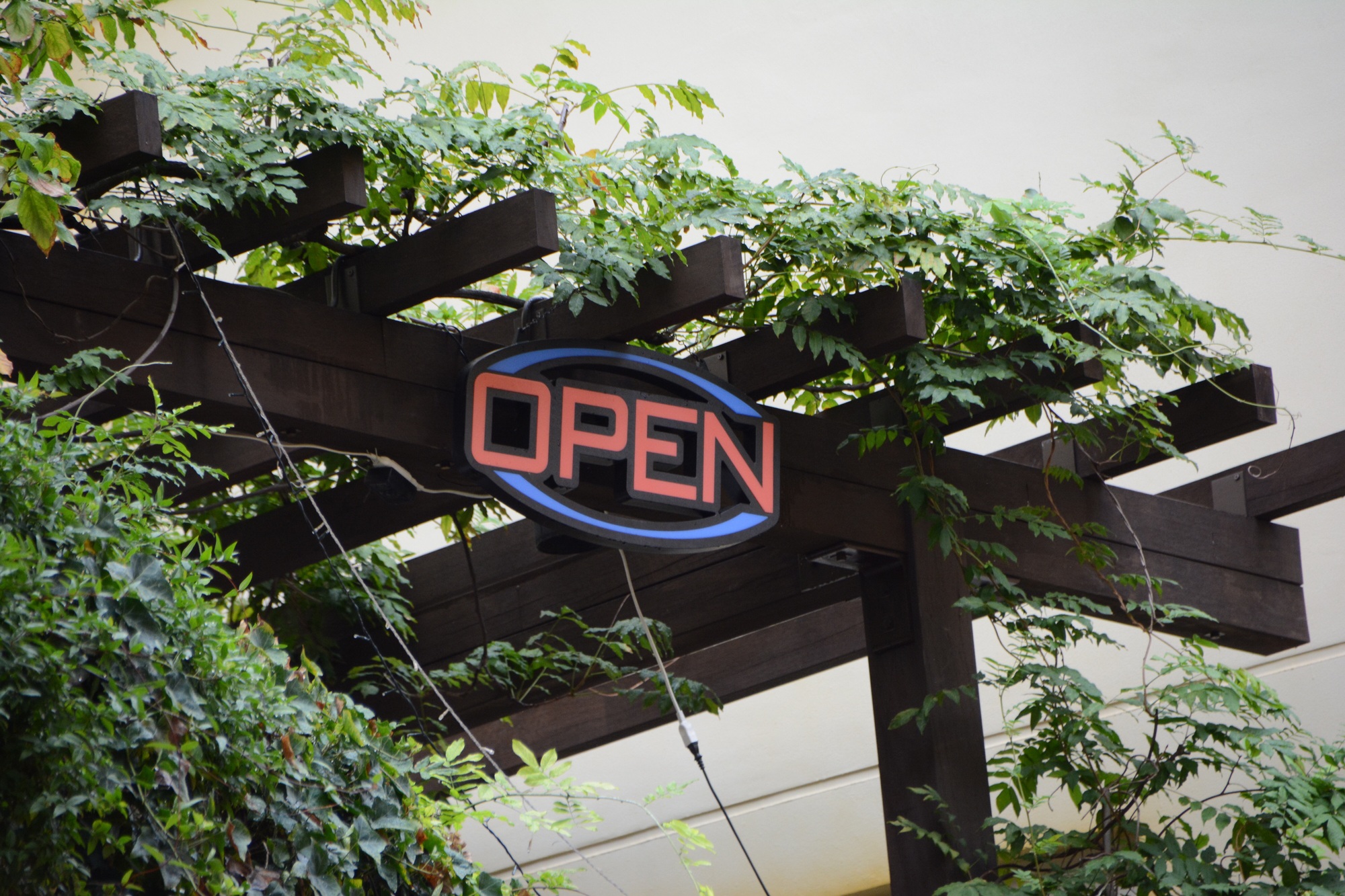 Open neon shop sign