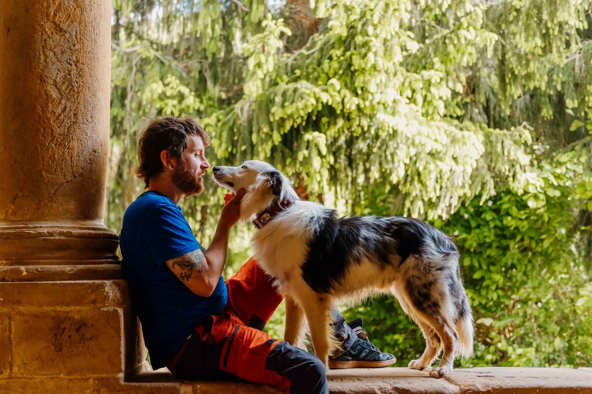 person playing and training with his dog