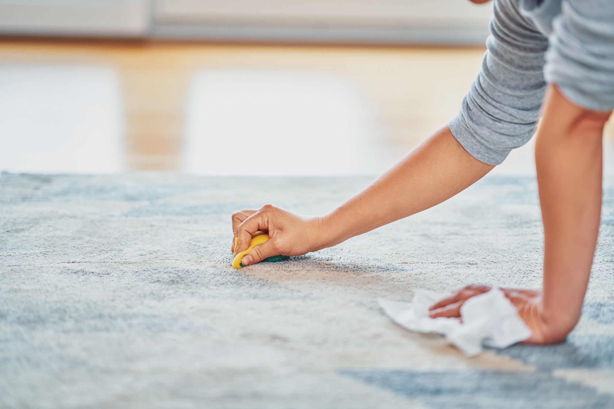 Picture of hand with sponge cleaning carpet