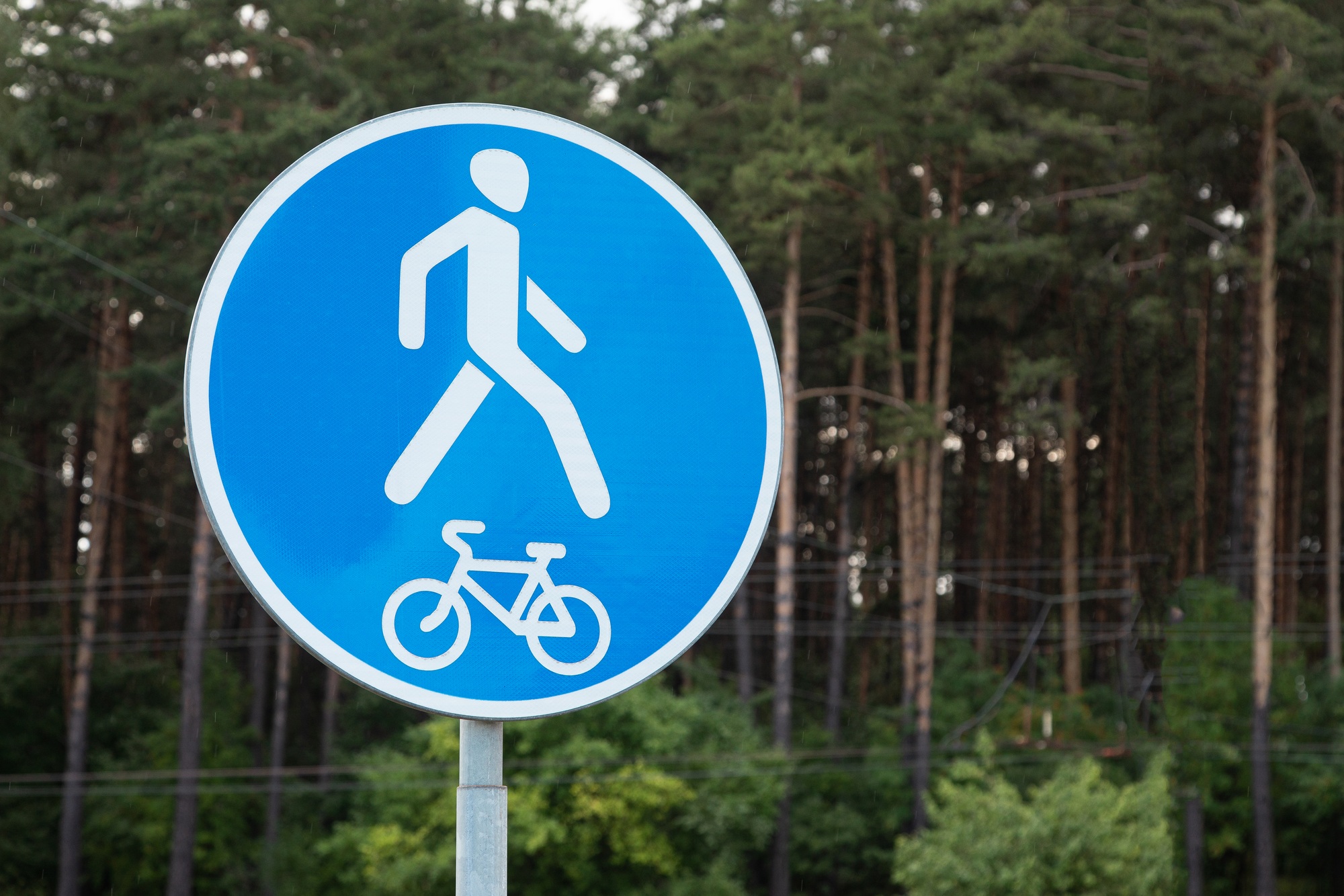 Roadsign Both pedestrian and bicyclist traffic allowed