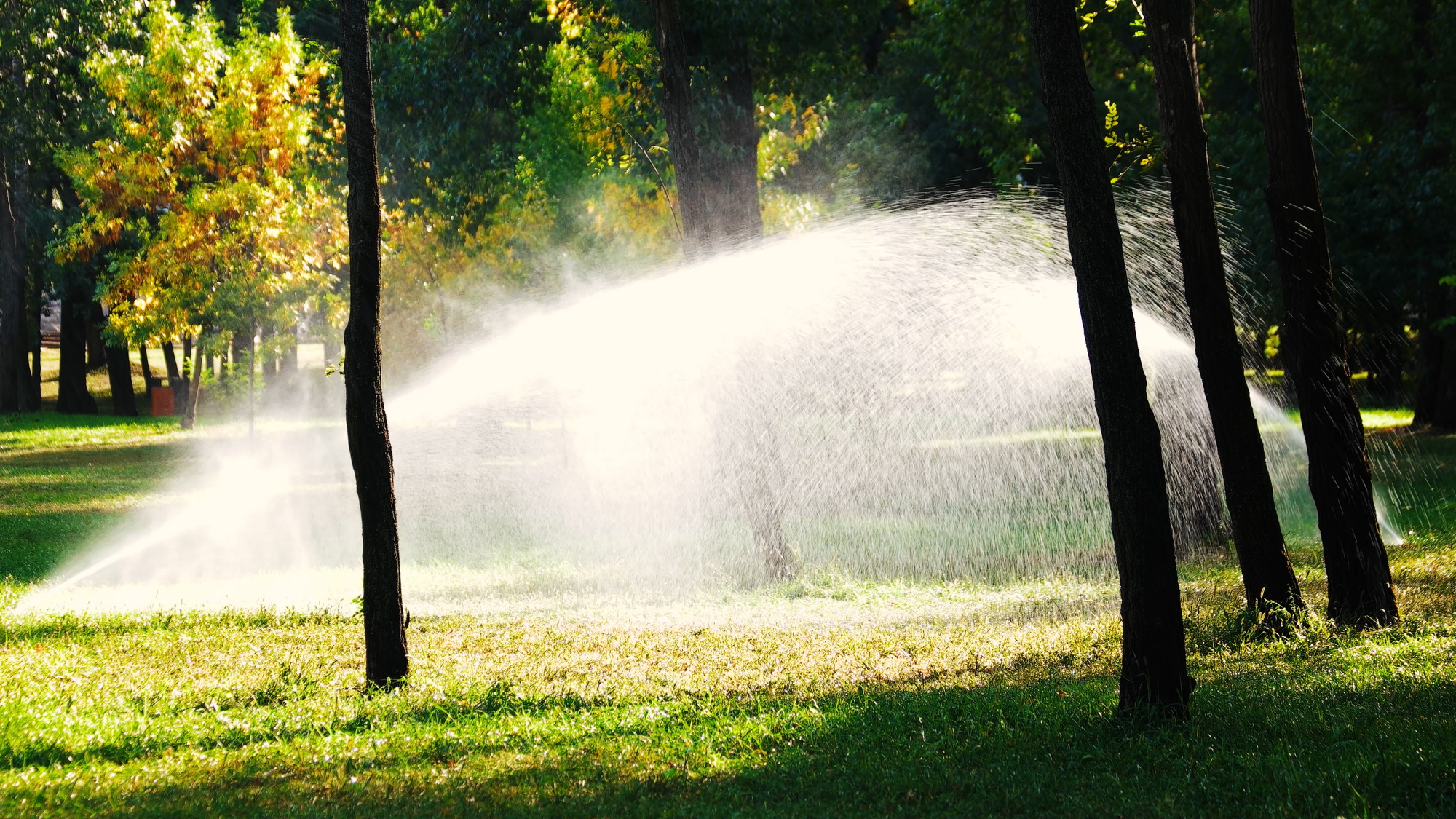 Water sprinkling on the lawn.