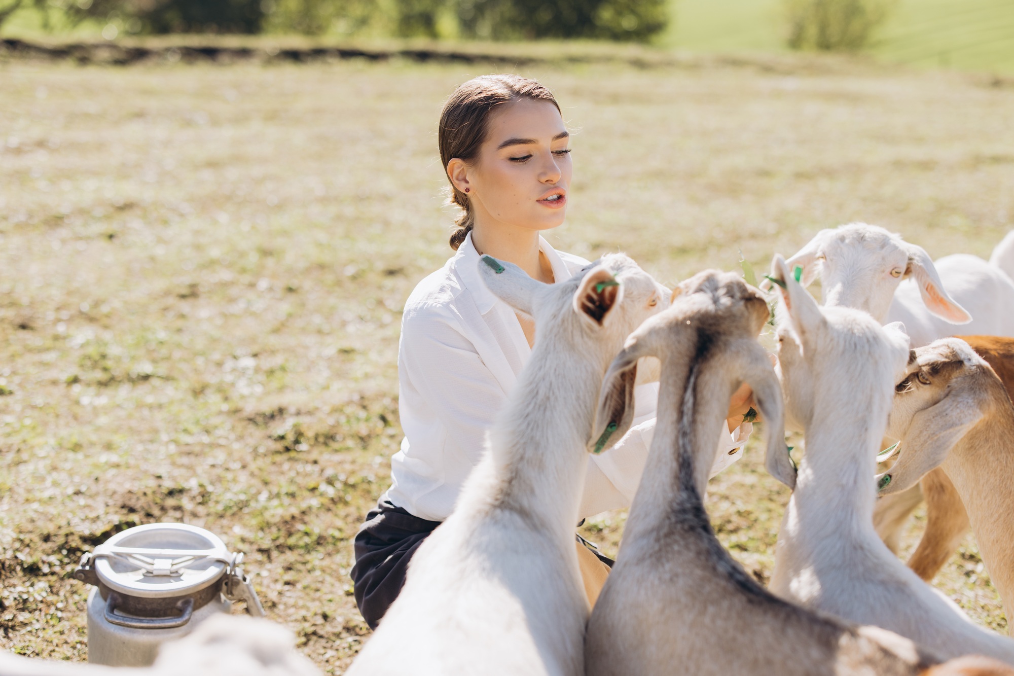 Young Woman Engaged in Goat Farming on a Sunny Day in a Rural Pasture