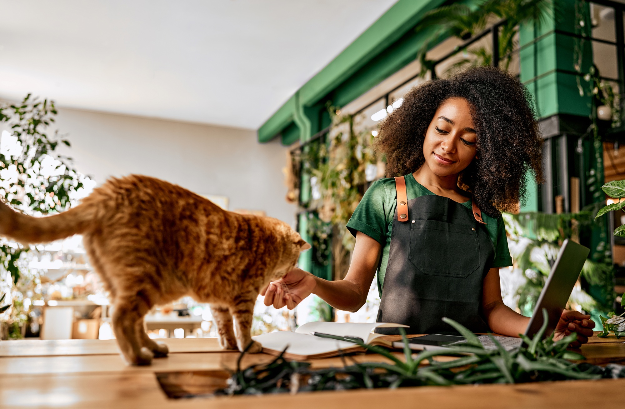 A pet at work with the owner.
