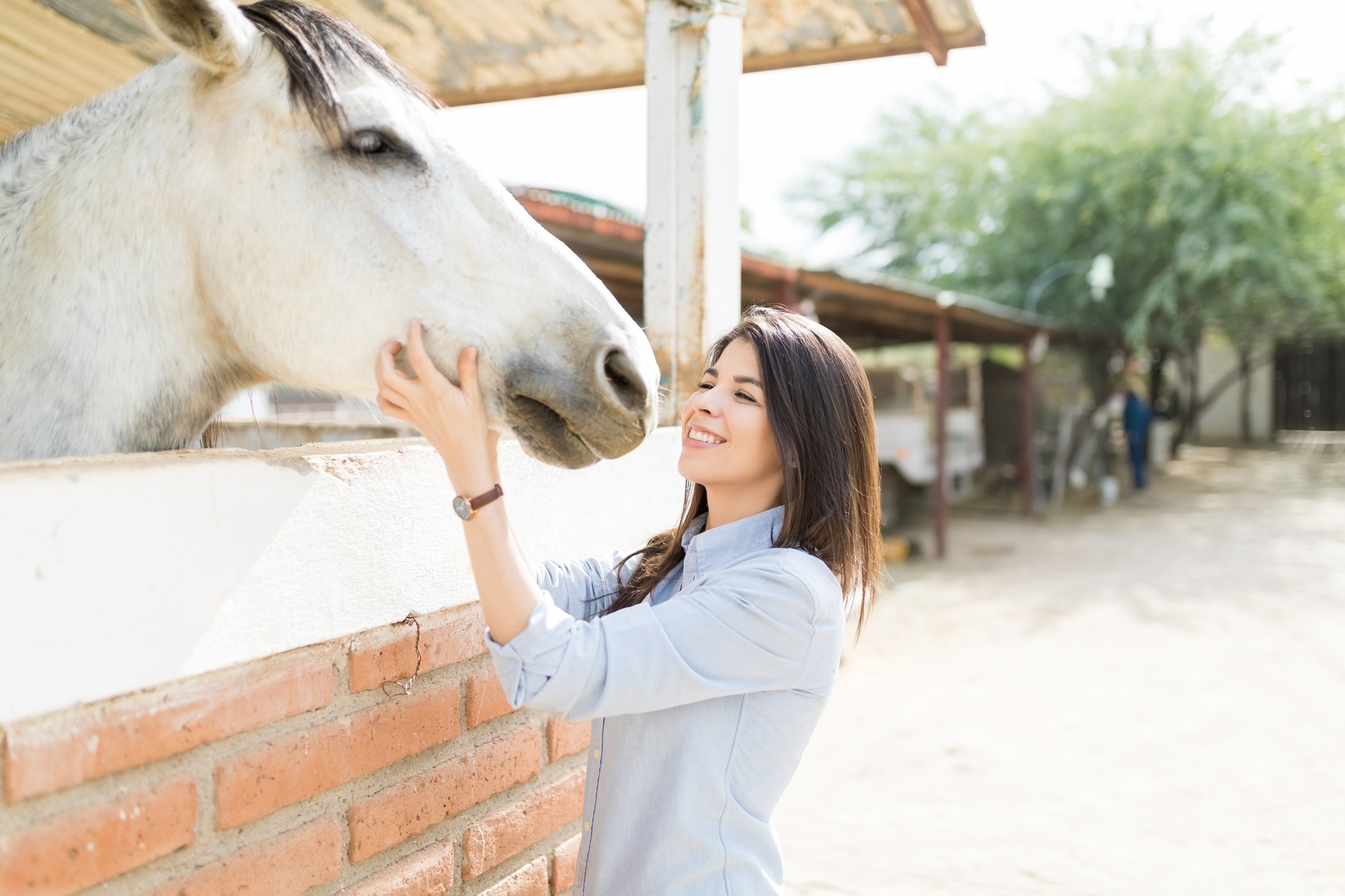 Beautiful Female Stroking Horse At Ranch