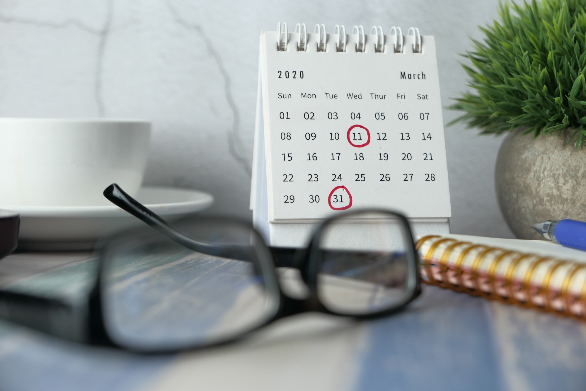 Close-up of desk with calendar, glasses, and plant showcasing March 2019 important dates