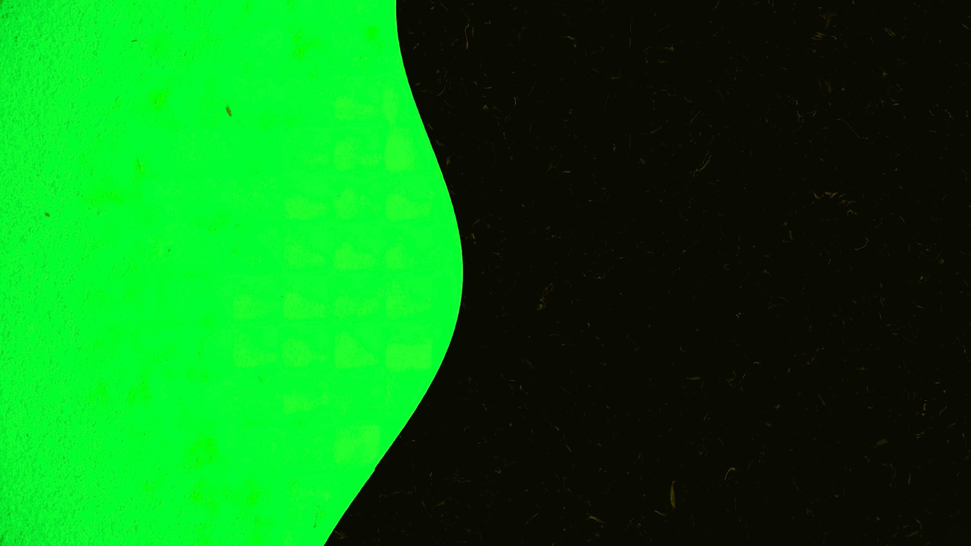 Colored background moves in wavy line on black background. Animation. Illusion of wavy movement of