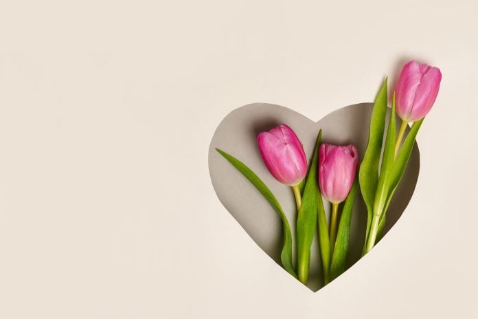 Greeting card with pink tulips in heart shape. Anniversary concept.Flat lay