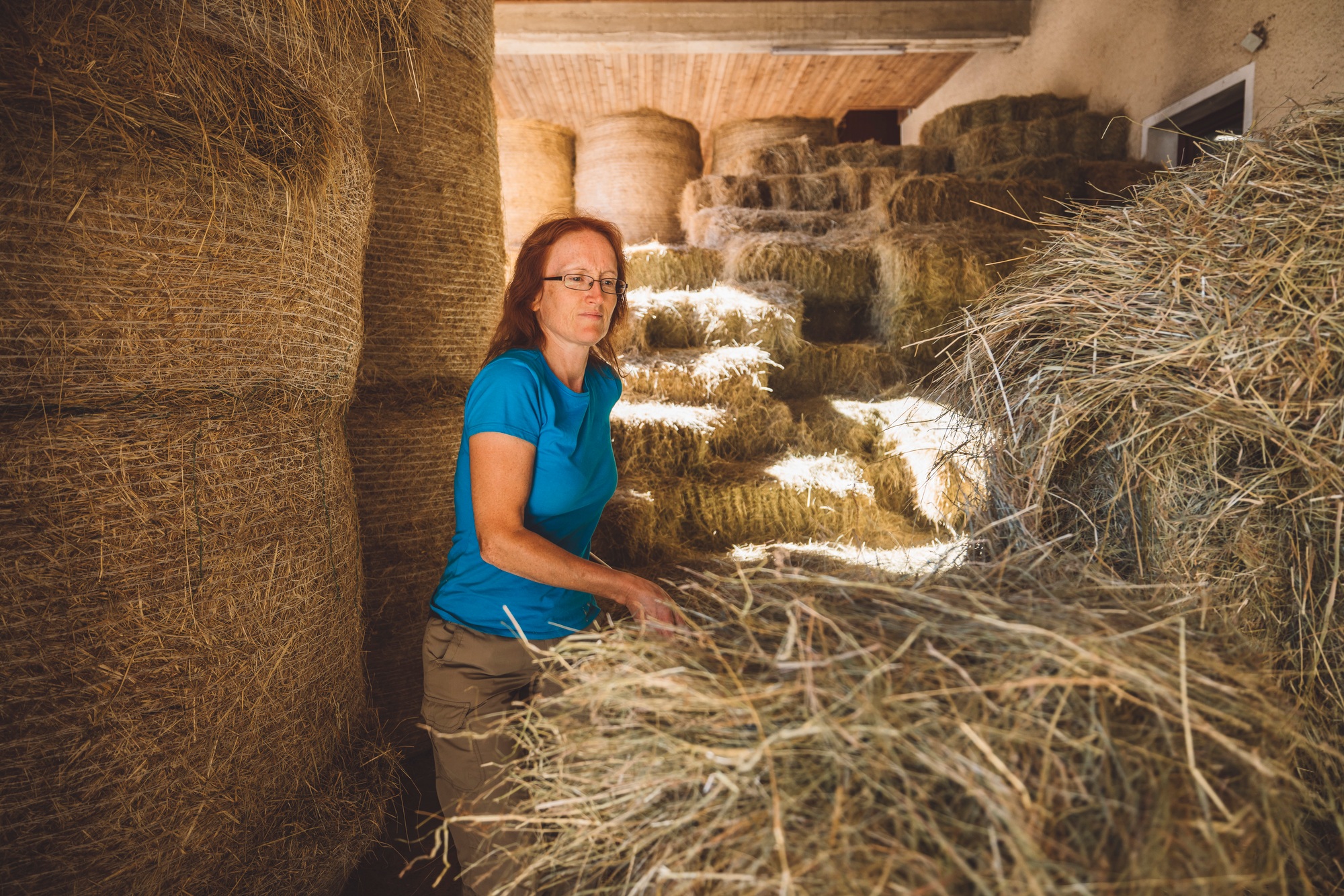 Hard working woman at the ranch moving hay