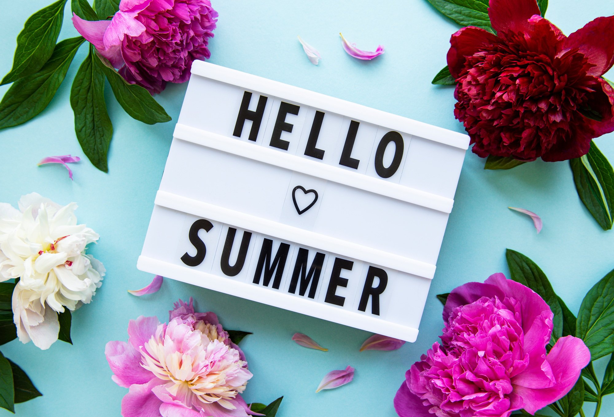 Light box with Hello Summer text and peonies