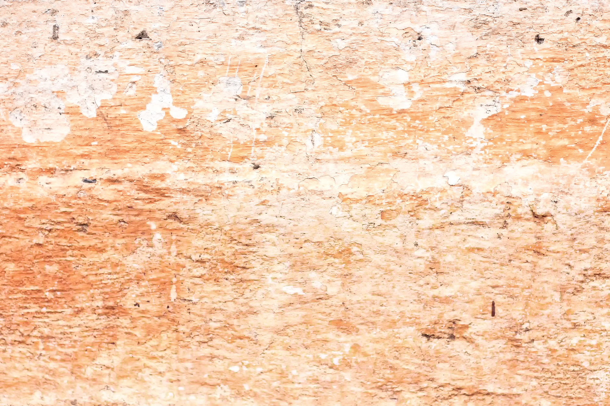 peach colored wall background