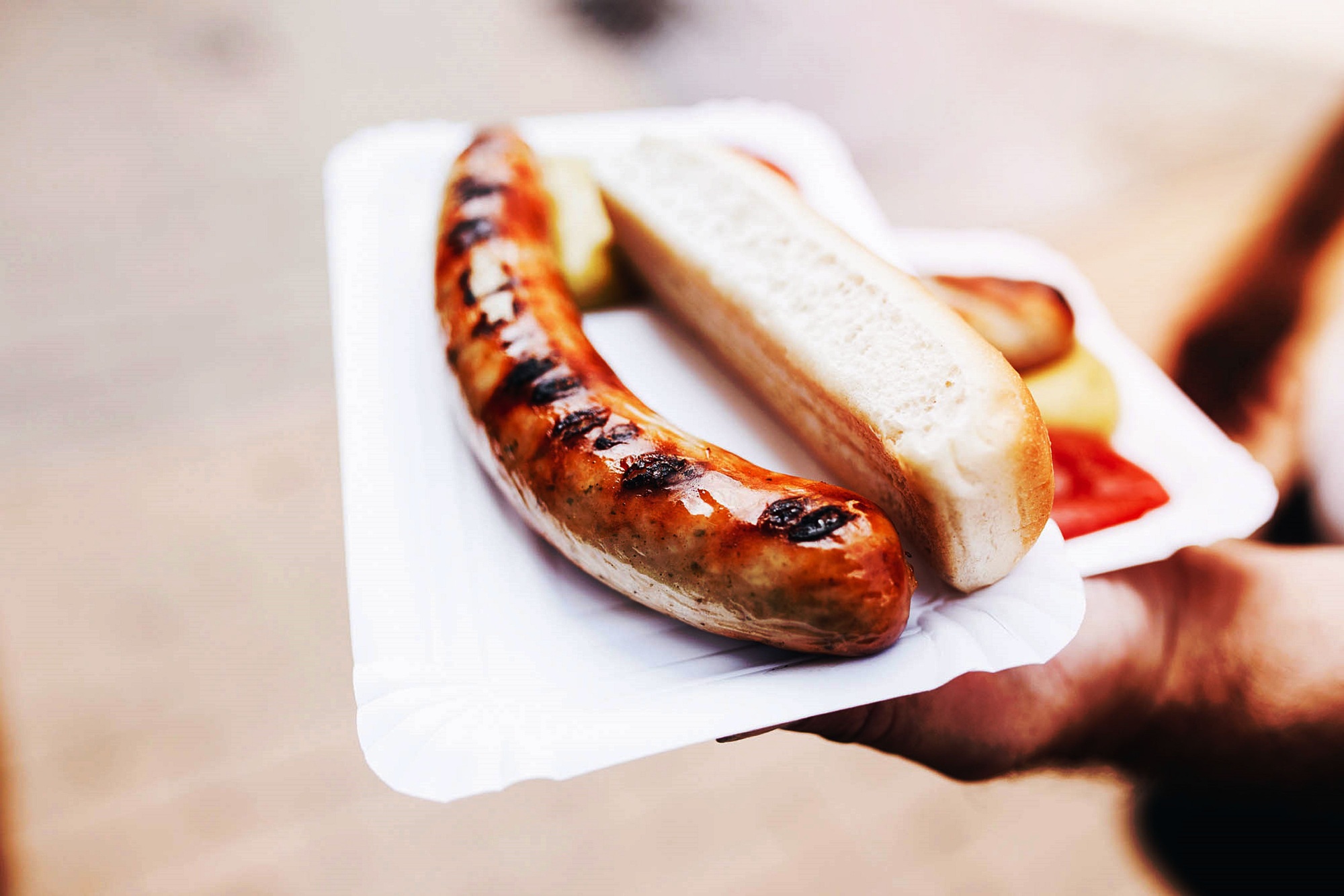 Person holding a plate with a hotdog in one hand