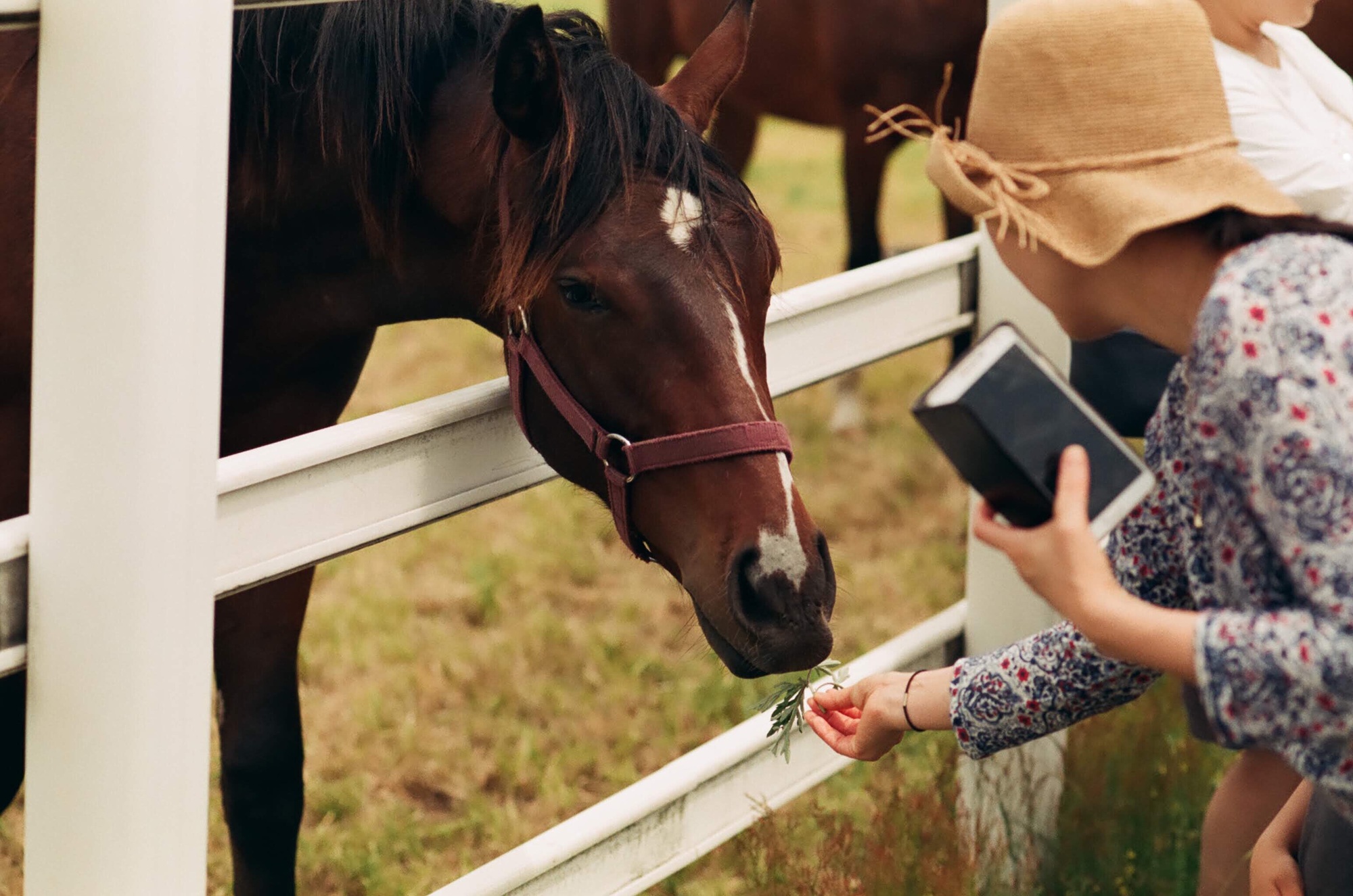 Photos of farming, agriculture, and ranch lifestyles.
