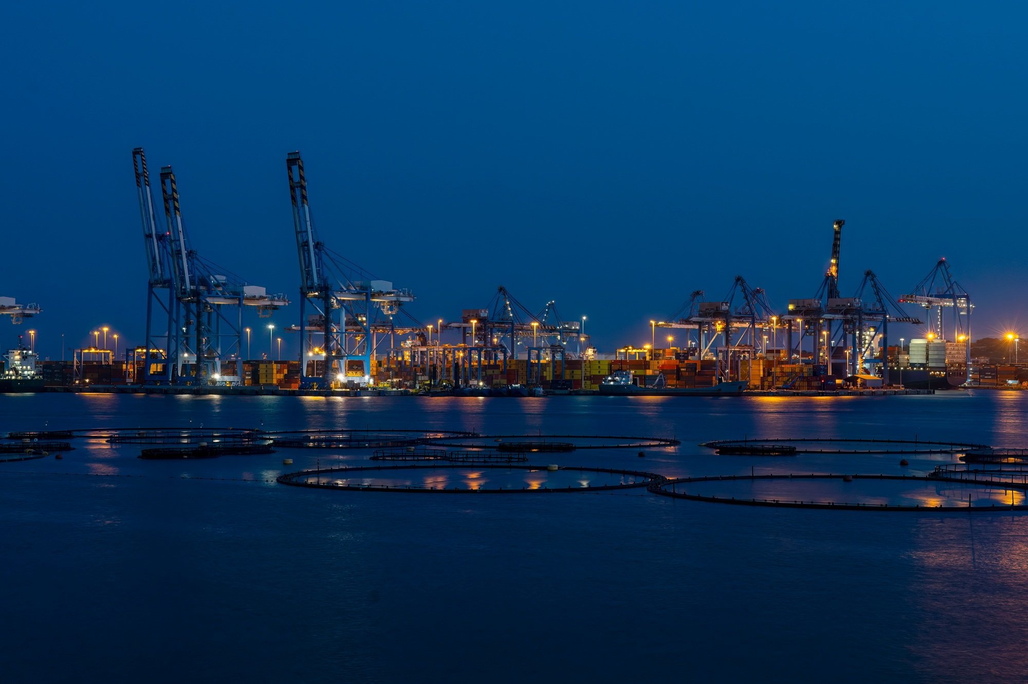 Trade port working crane bridges transportation containers and fish farming ranks in sea