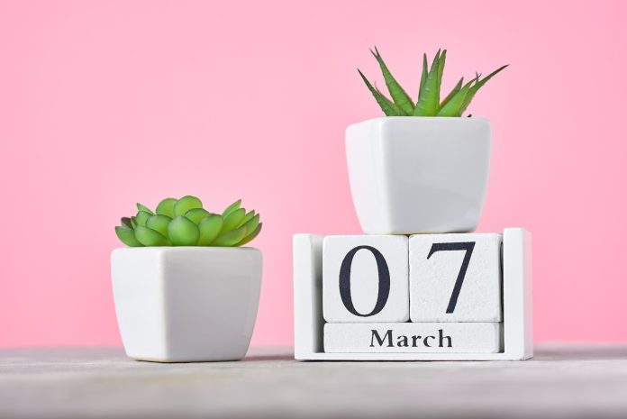 Wooden block calendar with date 7 march and plant on the pink background