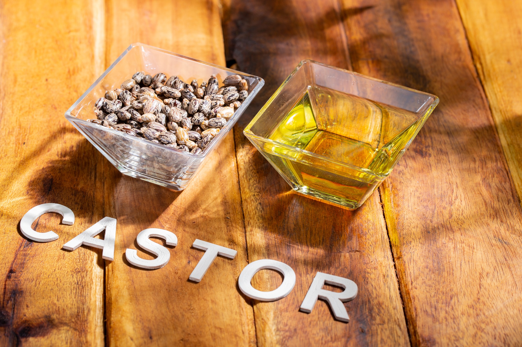 castor seeds and oil, on wooden surface, royalty free
