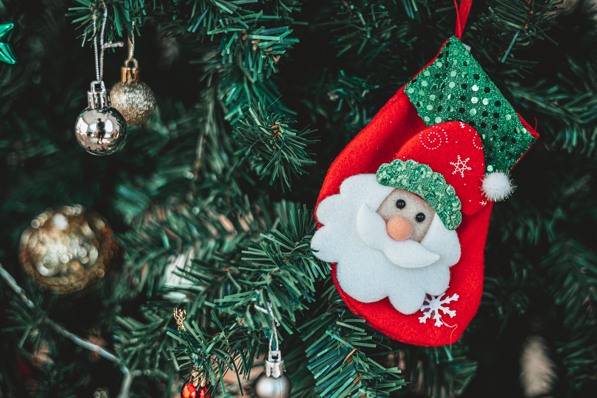 Christmas Tree with Santa Doll Decorations in Winter holiday Season Party