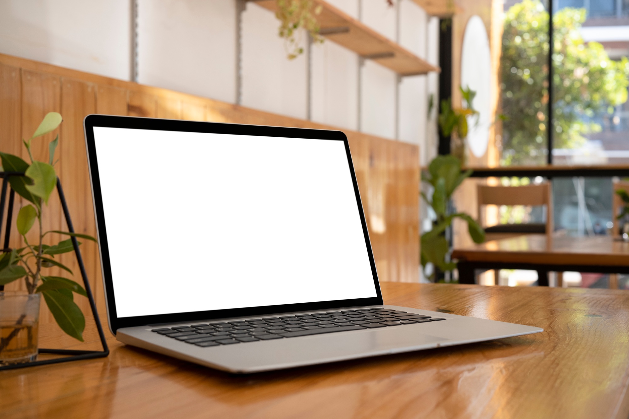 Computer laptop and potted plant on wooden table. Blank screen for advertise.