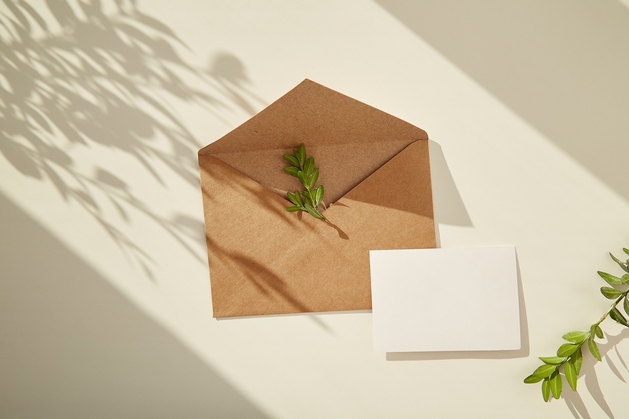 Craft paper open envelope and stationery card mock up under sunny shadows. Copy space