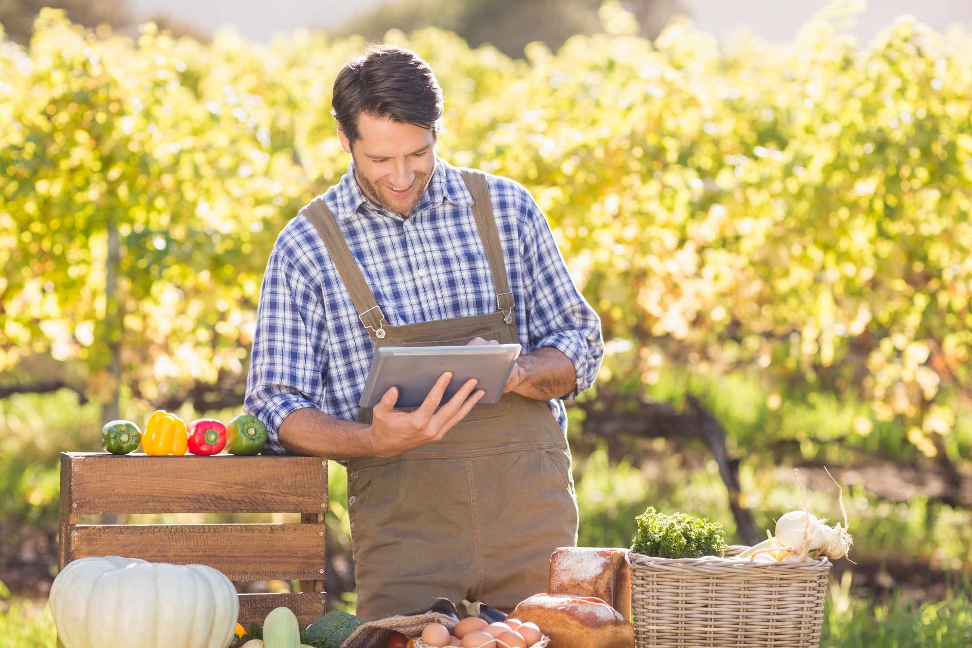 Farmer using a digital tablet over a table of local food