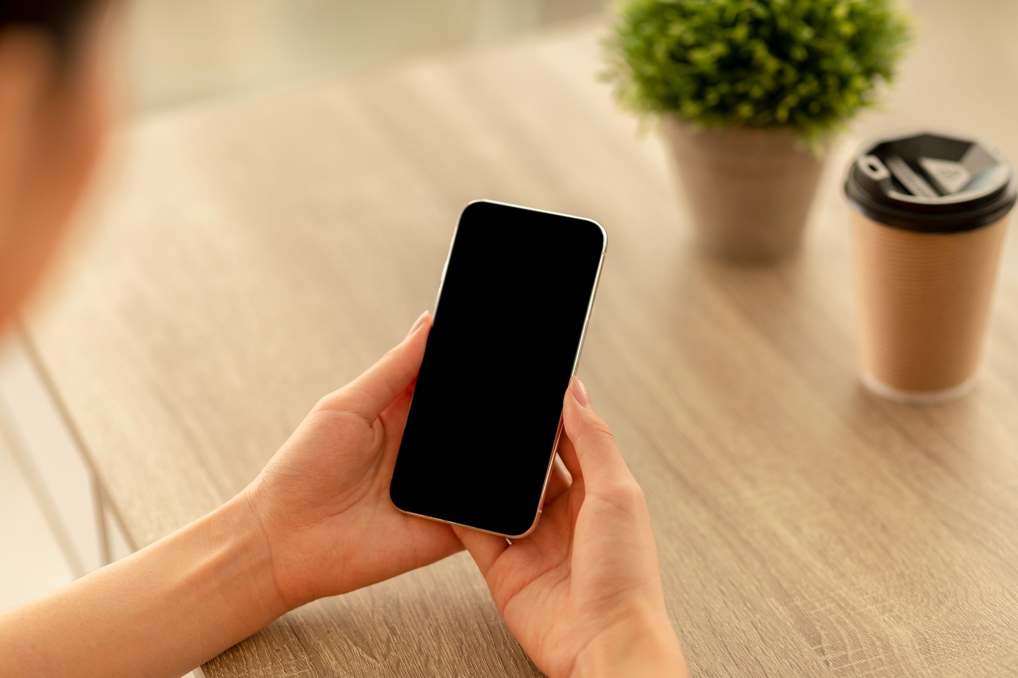 Female hands holding smartphone with blank screen with mockup for advertisement or website design